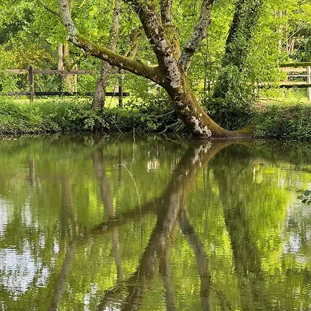 La Maison de l'Etang Manerbe Extérieur photo