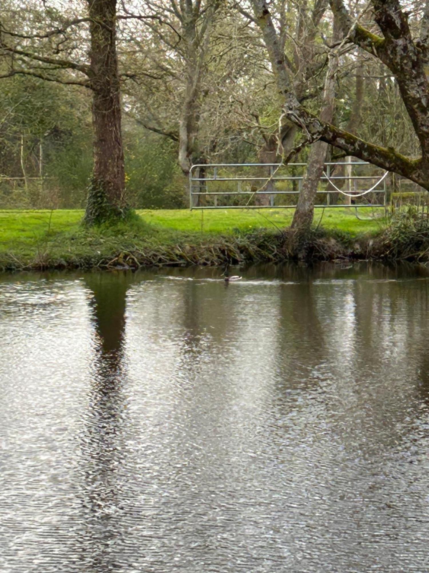 La Maison De L'etang Casa de Férias