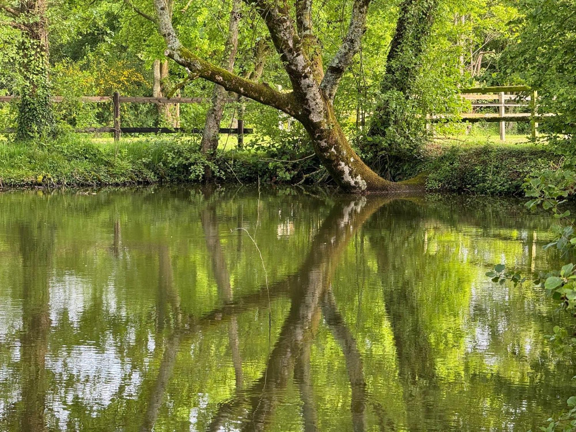 La Maison De L'etang Manerbe